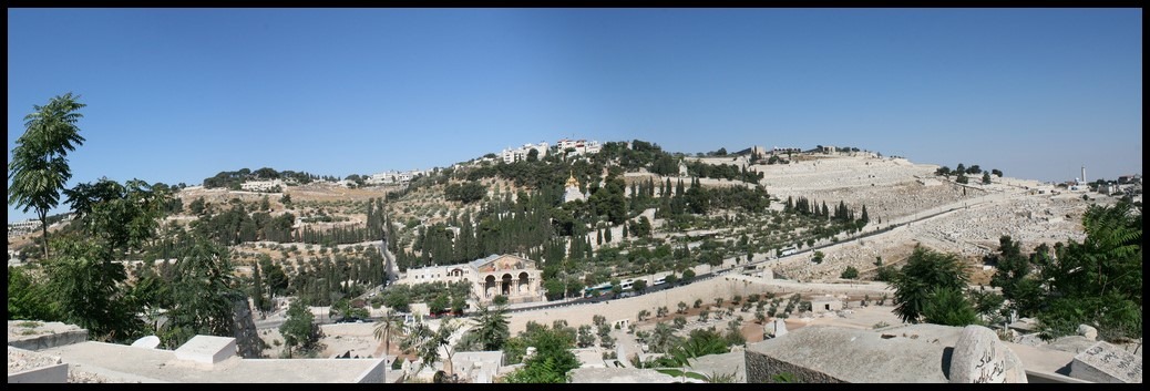 Mount Olives
