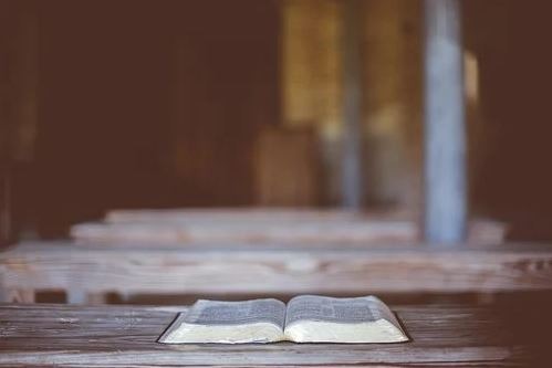 Bible book