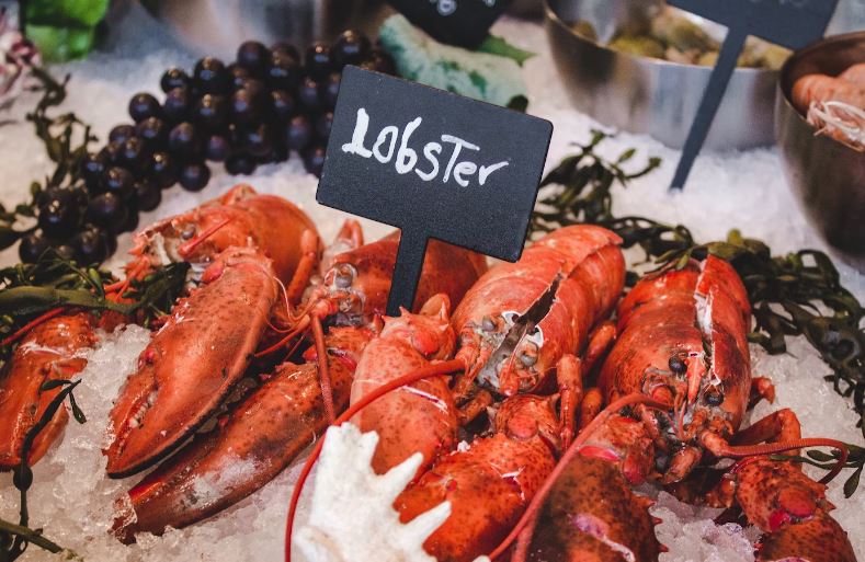 lobster on icy tray