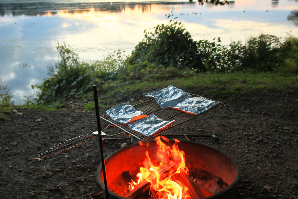 Cooking foil packs over an open fire at the campsite
